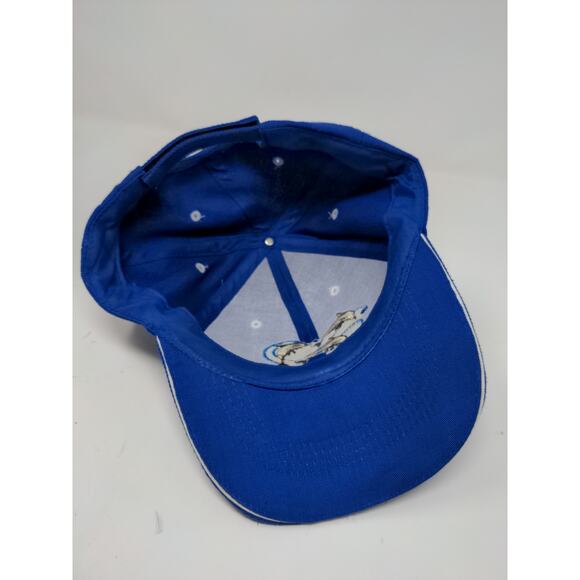 Cabo San Lucas Baja Mexico Strapback Hat Embroidered Dolphins Blue - Picture 8 of 9